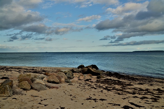 defi protocols total value locked visual